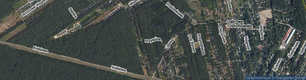 Zdjęcie satelitarne Przyleśna ul.